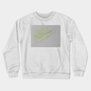 Freshwater diatom, Rhopalodia sp. Crewneck Sweatshirt